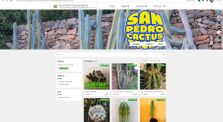 OpenBazaar Vendors: San Pedro Cactus Store [Compressor Audio] by Main cryptoshoppe channel