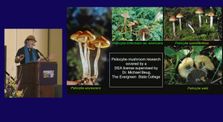 Paul Stamets: Psilocybin Mushrooms & The Mycology of Consciousness by wearepsychedelic
