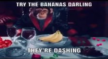 Try the bananas darling , they're dashing by Funny vids
